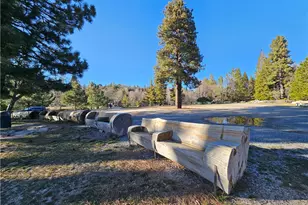 295 Dock N 295 B, Lake Arrowhead, CA 92352 - Photo 30