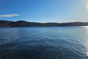 295 Dock N 295 B, Lake Arrowhead, CA 92352 - Photo 26