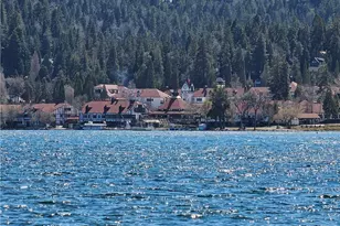 295 Dock N 295 B, Lake Arrowhead, CA 92352 - Photo 28