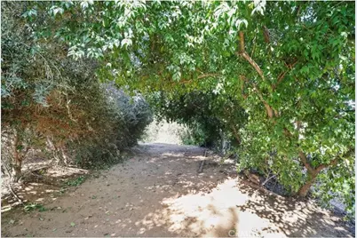 1804 Valle Vista, Redlands, CA 92373 - Photo 16