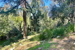 1804 Valle Vista, Redlands, CA 92373 - Photo 70