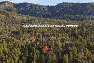 875 Santa Barbara, Sugarloaf, CA 92386 - Photo 14