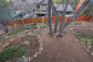 875 Santa Barbara, Sugarloaf, CA 92386 - Photo 10