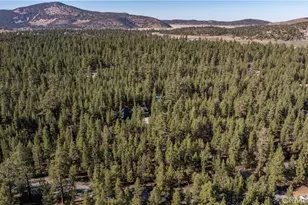 1901 State Ct, Big Bear City, CA 92314 - Photo 44