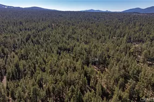 1901 State Ct, Big Bear City, CA 92314 - Photo 48