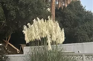 1030 San Rafael Ln, Pasadena, CA 91105 - Photo 52