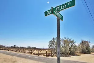 0 0531-151-31-0000 Silver Valley Rd, Newberry Springs, CA 92365 - Photo 1