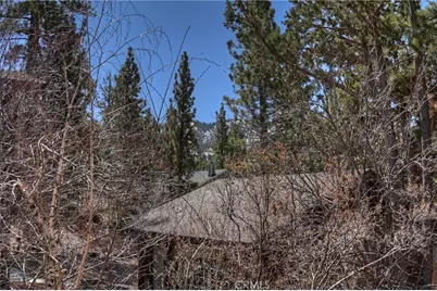 828 Tehama Drive, Big Bear Lake, CA 92315 - Photo 36