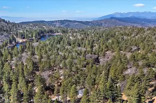 33338 Wild Rose, Green Valley Lake, CA 92341 - Photo 8