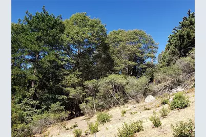 25134 Grandview Drive, Crestline, CA 92325 - Photo 10