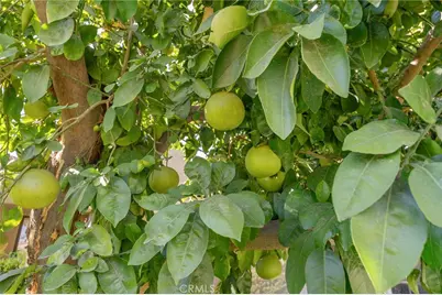 72834 Fleetwood, Palm Desert, CA 92260 - Photo 36