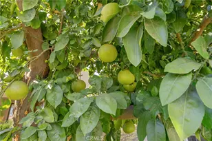 72834 Fleetwood Cir, Palm Desert, CA 92260 - Photo 36