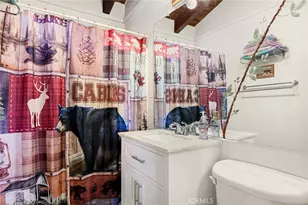 30445 Live Oak, Running Springs, CA 92382 - Photo 22