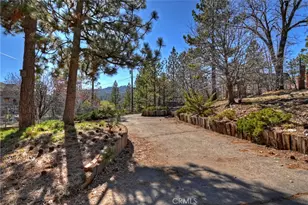 1035 Fawnskin Dr, Fawnskin, CA 92333 - Photo 4