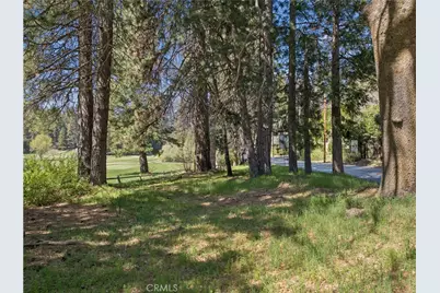 0 Grass Valley, Twin Peaks, CA 92391 - Photo 12