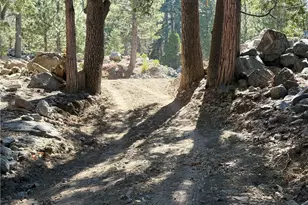 120 Barton Flats, Angeles Oaks, CA 92305 - Photo 52