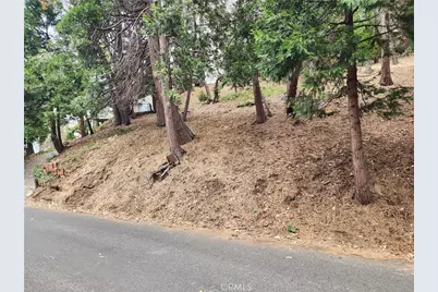 24397 Horst Drive, Crestline, CA 92325 - Photo 8