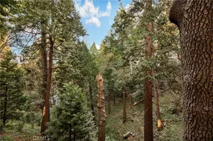 23730 Scenic, Crestline, CA 92325 - Photo 26