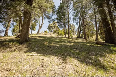 226 Hidden Forest Road, Lake Arrowhead, CA 92352 - Photo 12