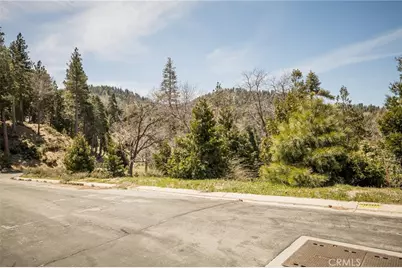 226 Hidden Forest Road, Lake Arrowhead, CA 92352 - Photo 10