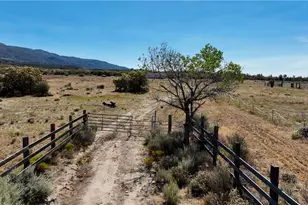 36650 Bautista Rd, Anza, CA 92539 - Photo 4
