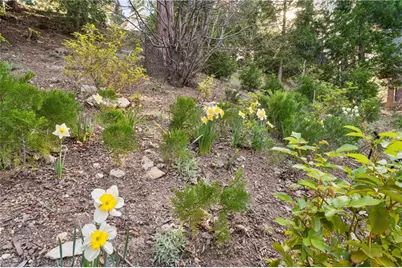 197 Massive Road, Lake Arrowhead, CA 92317 - Photo 60