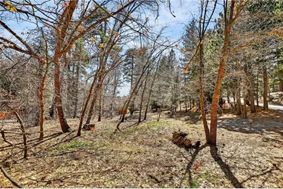 0 Cepu Road, Running Springs, CA 92382 - Photo 18