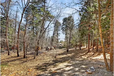 0 Cepu Road, Running Springs, CA 92382 - Photo 18