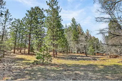0 Cepu Road, Running Springs, CA 92382 - Photo 1