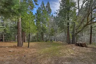 27297 Little Bear, Blue Jay, CA 92317 - Photo 8