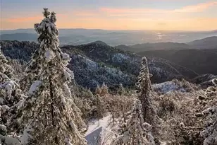 2012 Poplar, Running Springs, CA 92382 - Photo 6