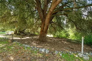 39804 Pine Bench, Yucaipa, CA 92399 - Photo 40