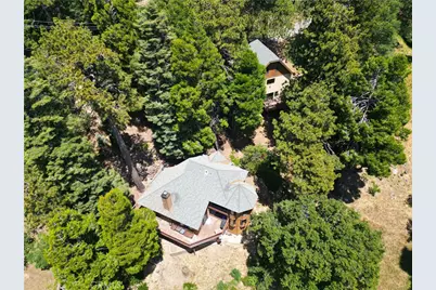 21425 Sawpit Canyon Road, Cedarpines Park, CA 92322 - Photo 6