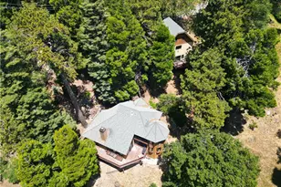 21425 Sawpit Canyon Rd, Cedarpines Park, CA 92322 - Photo 6
