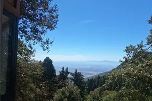 21425 Sawpit Canyon Rd, Cedarpines Park, CA 92322 - Photo 64