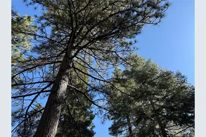 27334 Pinewood Drive, Lake Arrowhead, CA 92352 - Photo 22