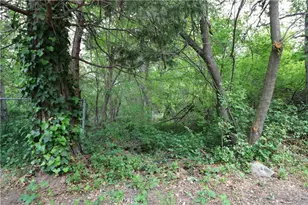 13992 Irving Ln, Lytle Creek, CA 92358 - Photo 20