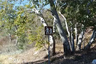 13992 Irving Ln, Lytle Creek, CA 92358 - Photo 26