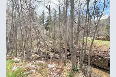 29949 Hook Creek, Cedar Glen, CA 92321 - Photo 1