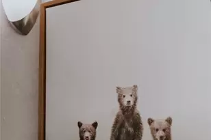 2352 Pine Dr, Running Springs, CA 92382 - Photo 16