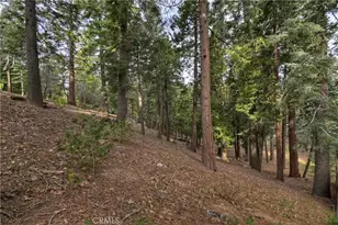 696 Rose, Twin Peaks, CA 92391 - Photo 42