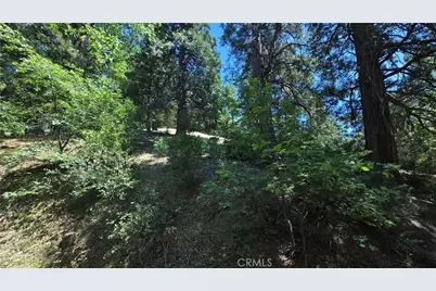 22496 Mojave River Road, Cedarpines Park, CA 92322 - Photo 1