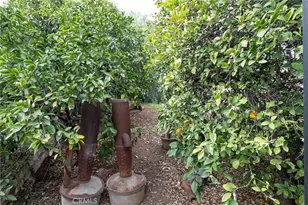 23144 Twin Canyon, Grand Terrace, CA 92313 - Photo 42