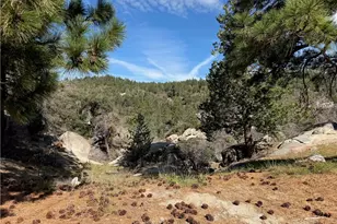 33363 Forest, Running Springs, CA 92382 - Photo 14