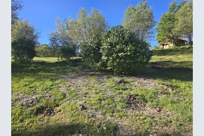 29783 Redwood, Cedar Glen, CA 92321 - Photo 1