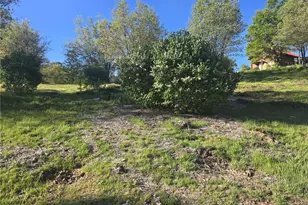 29783 Redwood, Cedar Glen, CA 92321 - Photo 1