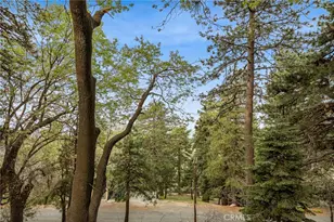 30668 Ferndale, Running Springs, CA 92382 - Photo 28