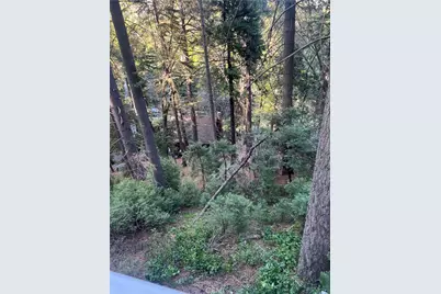 807 Sierra Vista, Twin Peaks, CA 92391 - Photo 36
