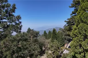 1962 Nob Hill, Running Springs, CA 92382 - Photo 26