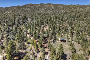 4 Lakeview Track, Fawnskin, CA 92333 - Photo 40